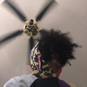 Meet your Posher, Anselmo